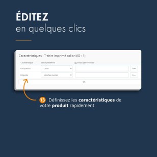 Edition de masse produits PrestaShop, module d'administration rapide